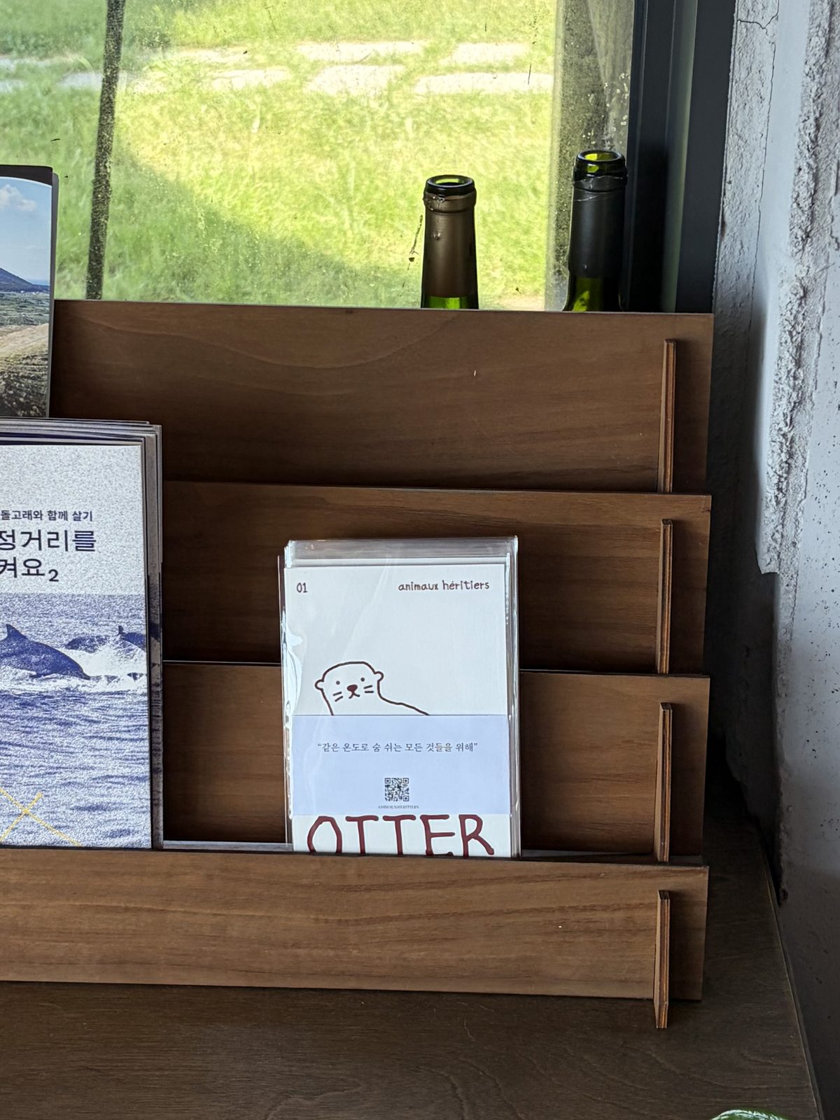 제주 카페 핀스에 진열된 수달 엽서